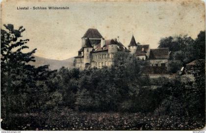 Liestal, Schloss Wildenstein