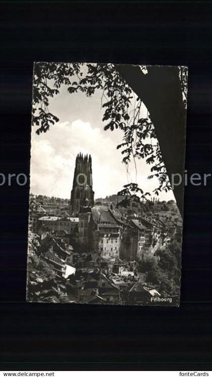 Fribourg FR Cathedrale