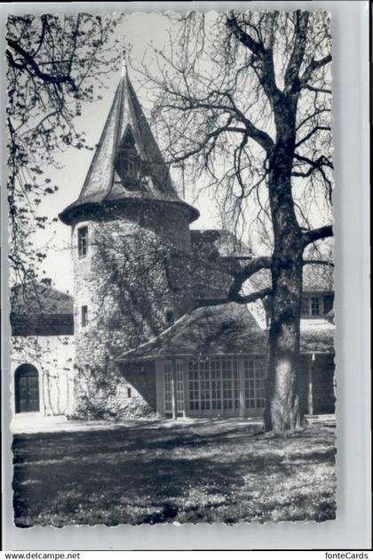 Celigny Schloss Bossey