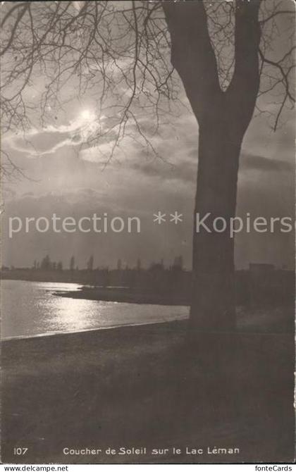 Lac Leman Genfersee Coucher de Soleil au bord du lac