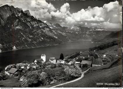 50479733 - Obstalden