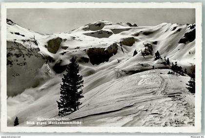 8765 Engi Foto AK Spitzmeilengebiet Winter - 39499576