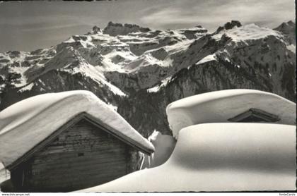 Braunwald GL Braunwald Kaerpfstock