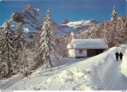 CPM Braunwald