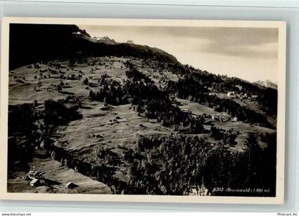 8784 Braunwald - 11062698