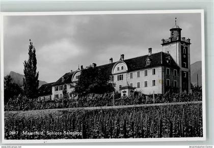 10194868 - Maienfeld
