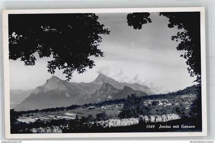 51314355 - Jenins