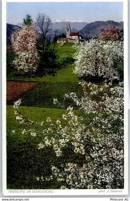 7411 Sils im Domleschg - Frühling - 50776830