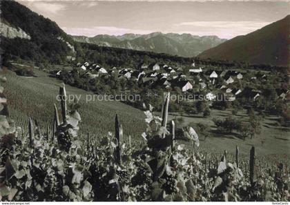Flaesch Landquart GR Panorama