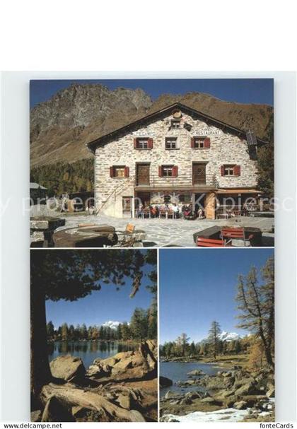 Graubuenden Kanton Valle di Campo Ristorante Alpe Campo