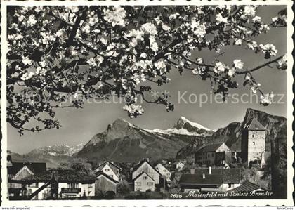 Maienfeld Ortsansicht mit Schloss Brandis Alpenblick Baumbluete