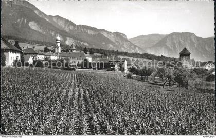 Maienfeld Panorama