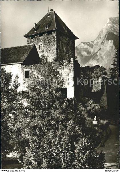 Maienfeld Schloss Brandis