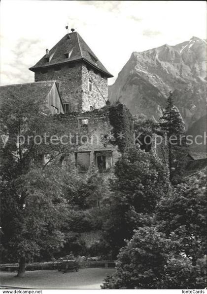Maienfeld Schloss Brandis mit Falknis Raetikon