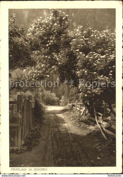 Schiers Fruehlingsmotiv