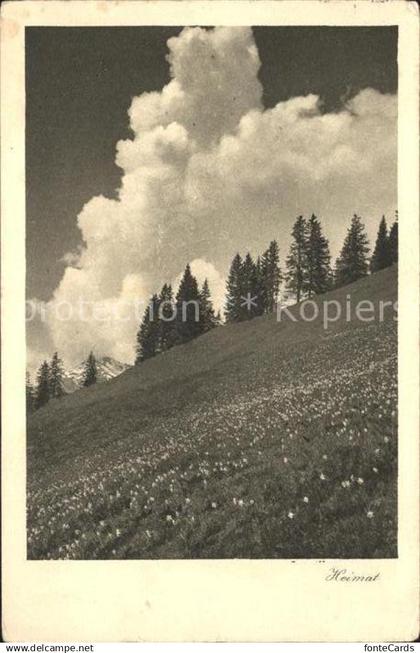 Schiers Heimatbild