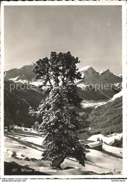 Spluegen Hinterrhein Winter im Rheinwald
