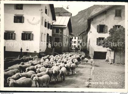 Zernez GR Dorfpartie Alt Zernez Schafherde