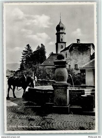 7304 Maienfeld - Dorfpartie Brunnen Pferd - 10161502