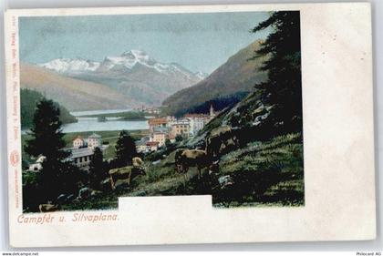 7513 Silvaplana - Teilansicht, Silvaplana - 50813067