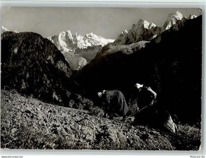 7610 Soglio - Kartoffelernte bei Soglio Blick in die Scioragruppe - 11088413