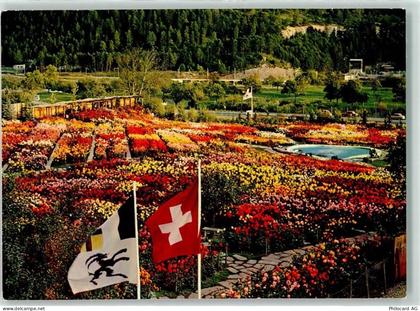 7015 Tamins - Dahlien- und Herbstblumenschau - 39494049