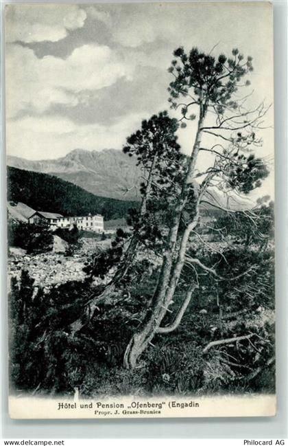 7530 Zernez - Hotel Ofenberg - 10604034