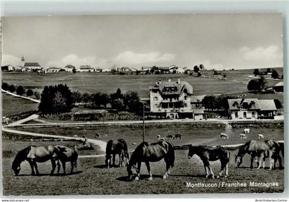 13149238 - Montfaucon