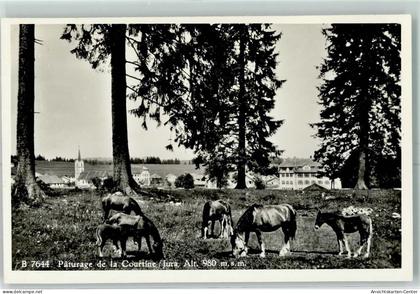 13149269 - Montfaucon