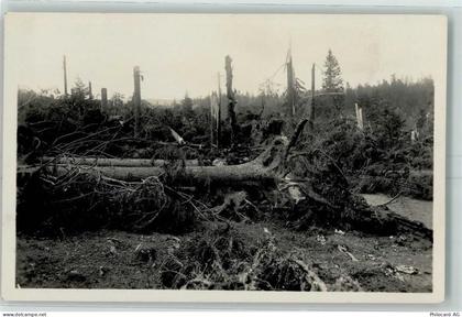 2345 Les Breuleux - Foret devastee entre la Chaux dAbel et les Breuleux... - 13172954