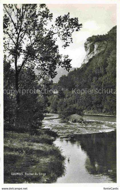 Goumois Franches-Montagnes JU Rocher du Singe