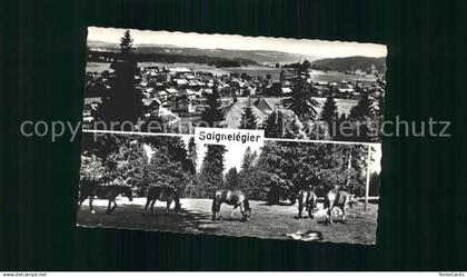 Saignelegier Panorama Pferde