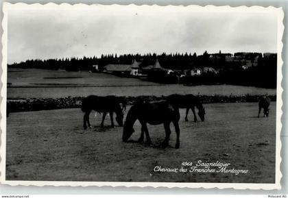2350 Saignelégier 1954 Foto AK - 38022635