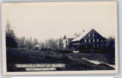 6163 Ebnet - Waldheim - 50772206