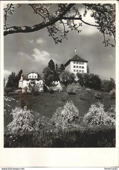 Gelfingen Schloss Heidegg