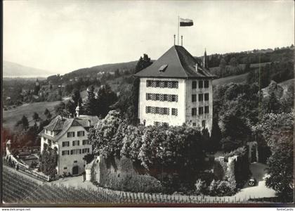 Gelfingen Schloss Heidegg   Fliegeraufnahme