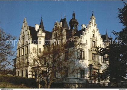 Meggen Schloss Meggenhorn