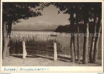 Sursee Sempachersee