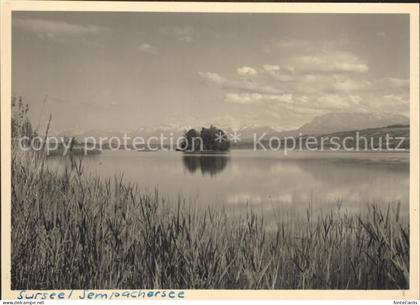 Sursee Sempachersee