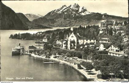 Weggis Vierwaldstaettersee Weggis