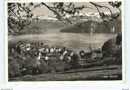 Weggis Vierwaldstaettersee Weggis