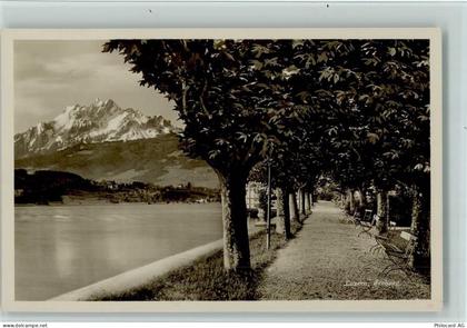6000 Luzern Lucerne - Seeburg Promenade - 12114884