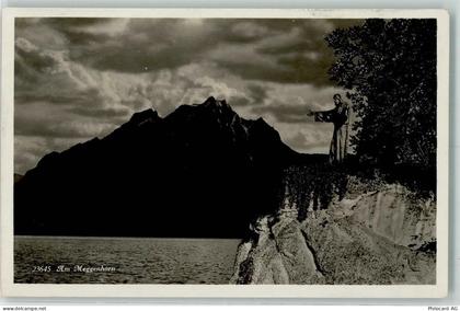 6045 Meggen - Meggenhorn - 10308991