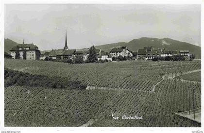 Cortaillod NE Panorama