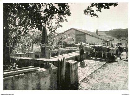 Le Paquier NE Brunnen