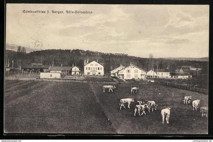 AK Bole-Colombier, Combustibles J. Berger