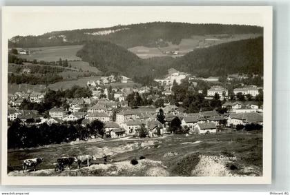 2108 Couvet - Kühe - 39694471