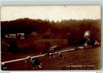 2108 Couvet - Les Sagnettes Kühe - 10607463