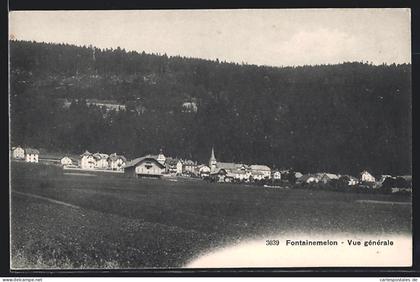 AK Fontainemelon, Vue générale