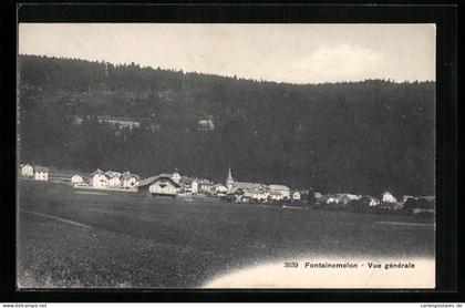 AK Fontainemelon, Vue générale